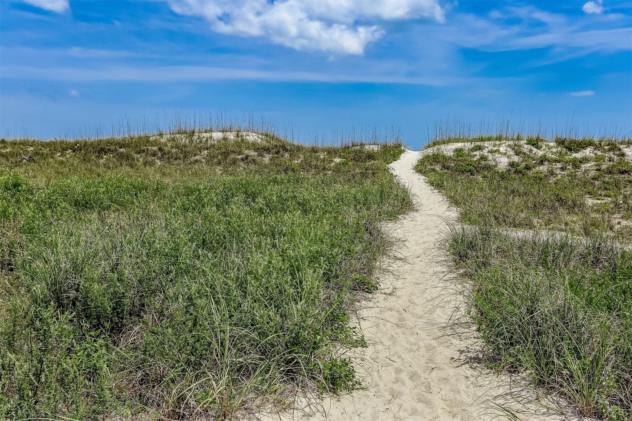 95049 Summer Crossing Road, Unit 1502 Fernandina Beach, FL 32034 - Photo 51 of 56 Gallery Image 51