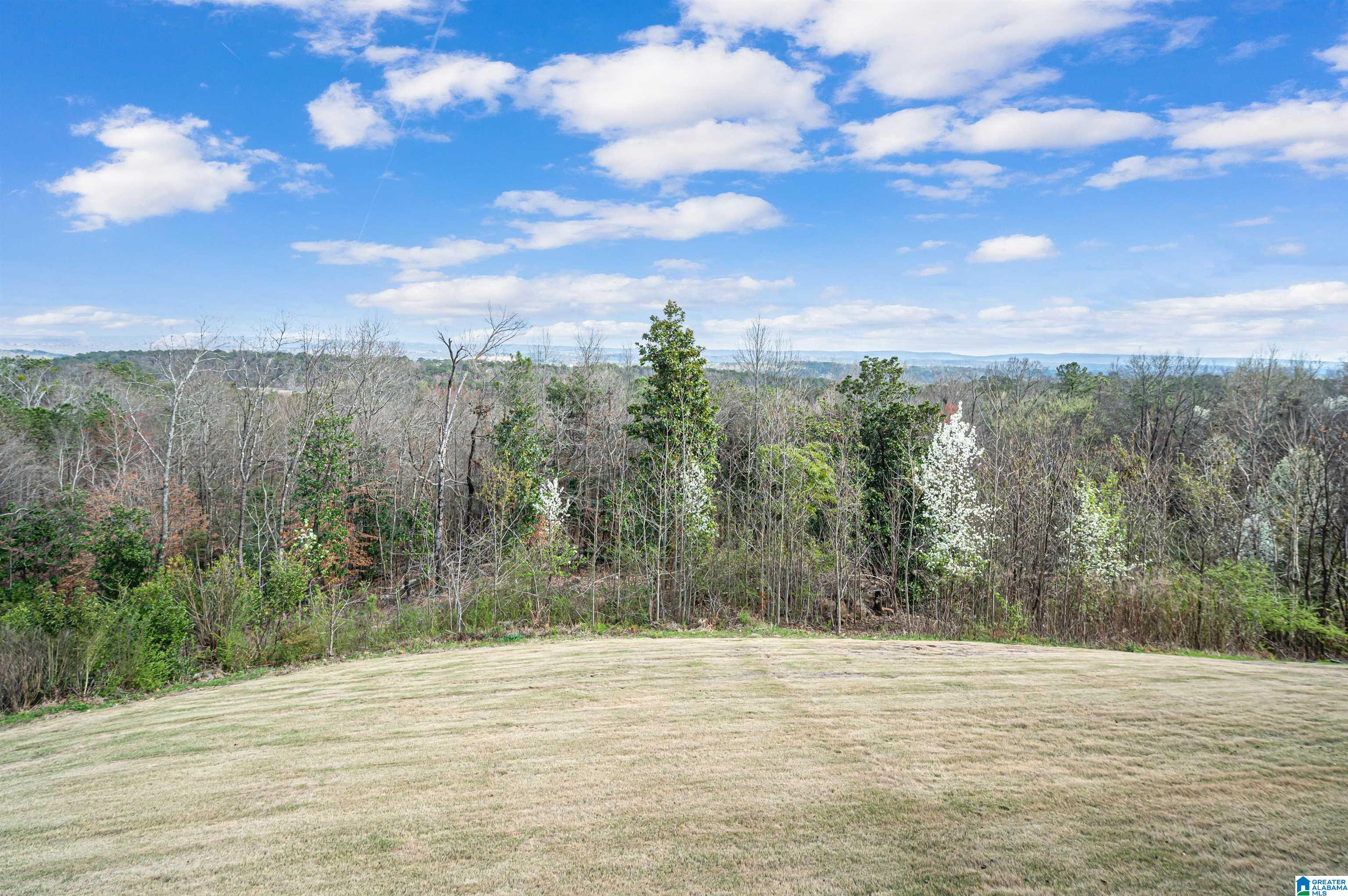 4557 Dolly Ridge Road Birmingham, AL 35243 - Photo 58 of 68