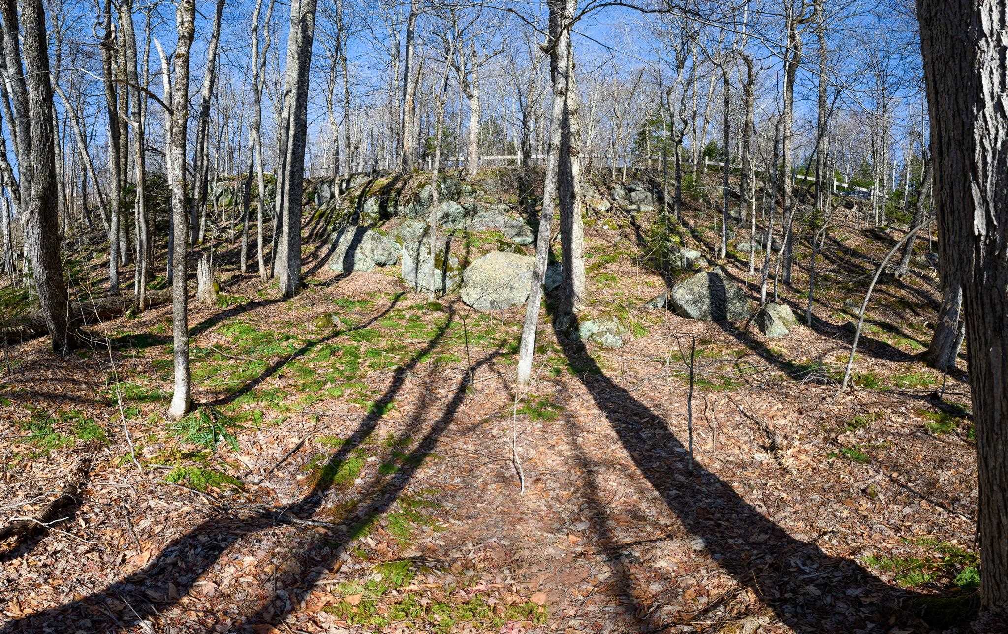 0 West Lake Road, Unit 13 & 14 Wilmington, VT 05363 - Photo 11 of 13