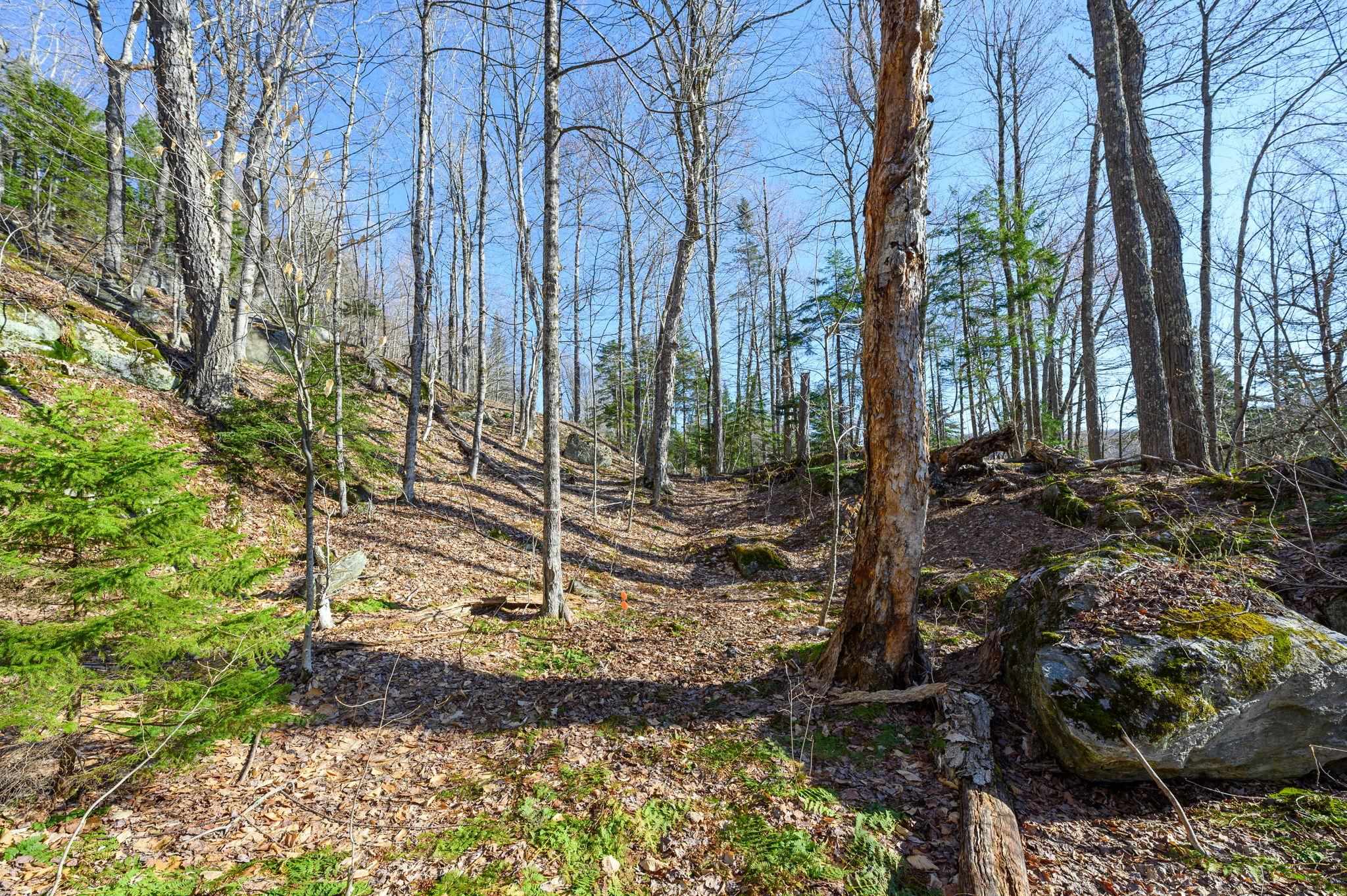 0 West Lake Road, Unit 13 & 14 Wilmington, VT 05363 - Photo 12 of 13
