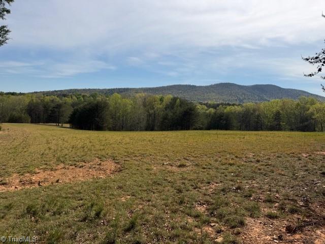 0 Crestview Road Danbury, NC 27016 - Photo 3 of 13