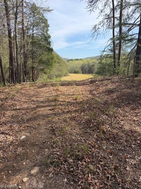 0 Crestview Road Danbury, NC 27016 - Photo 7 of 13