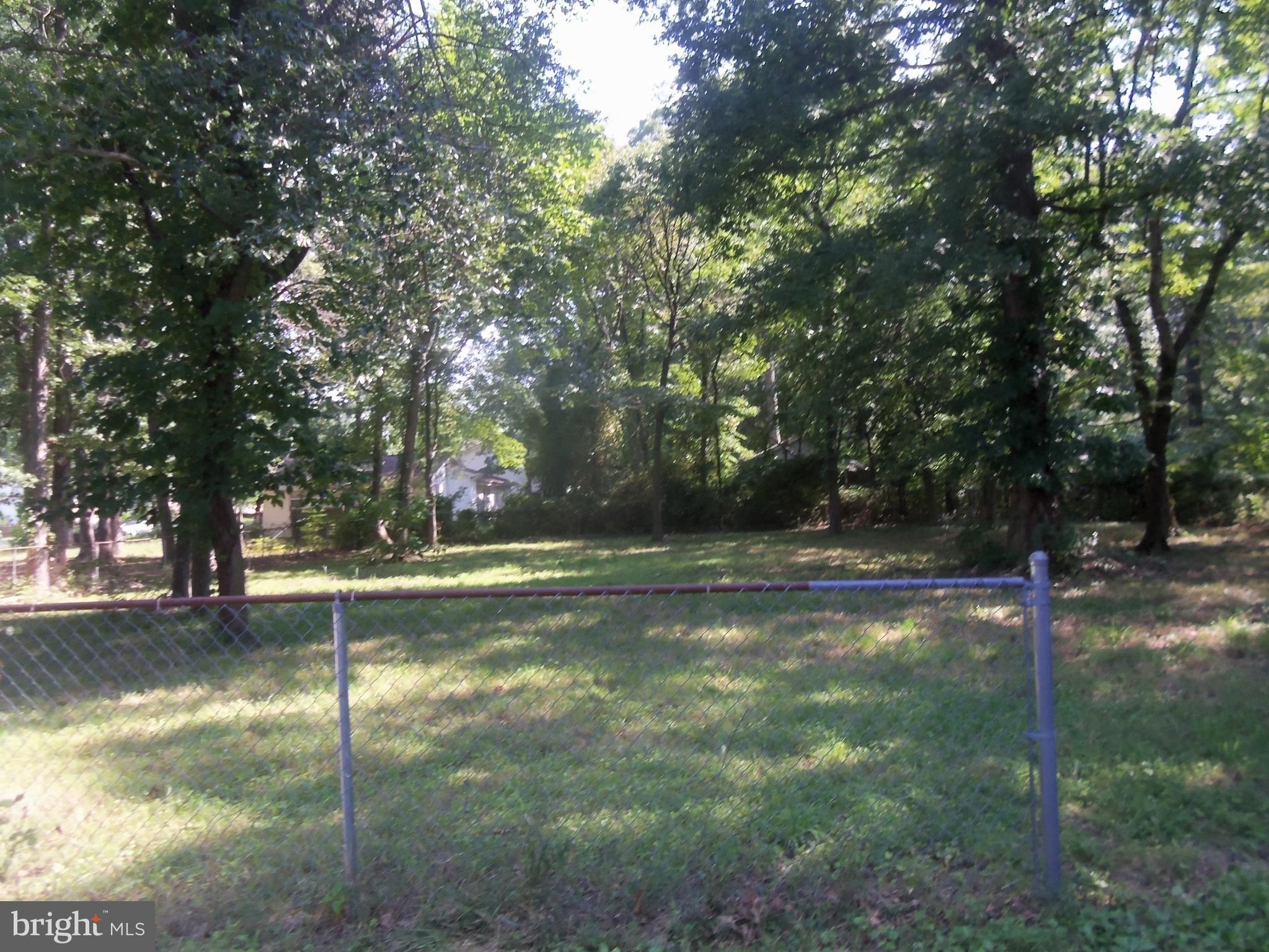 The level yard goes way beyond the fence! Lovely!