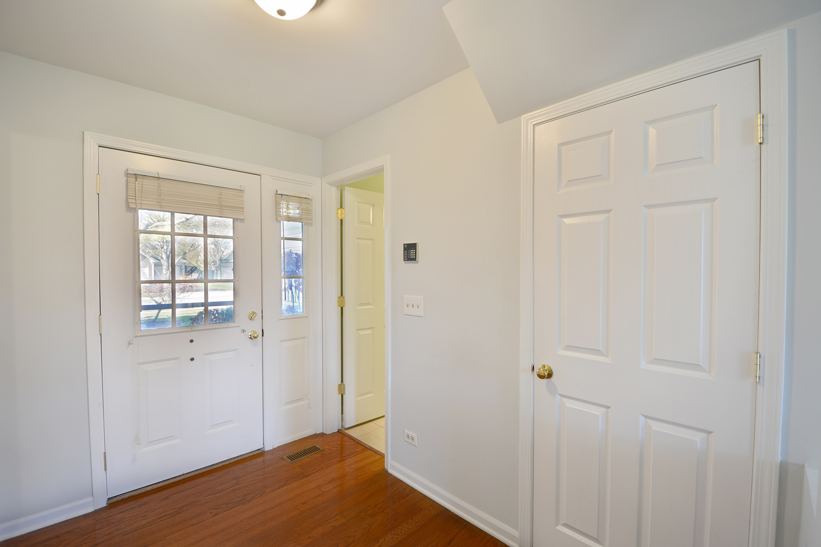 725 Ripple Brook Lane Elgin, IL 60120 - Photo 3 of 29