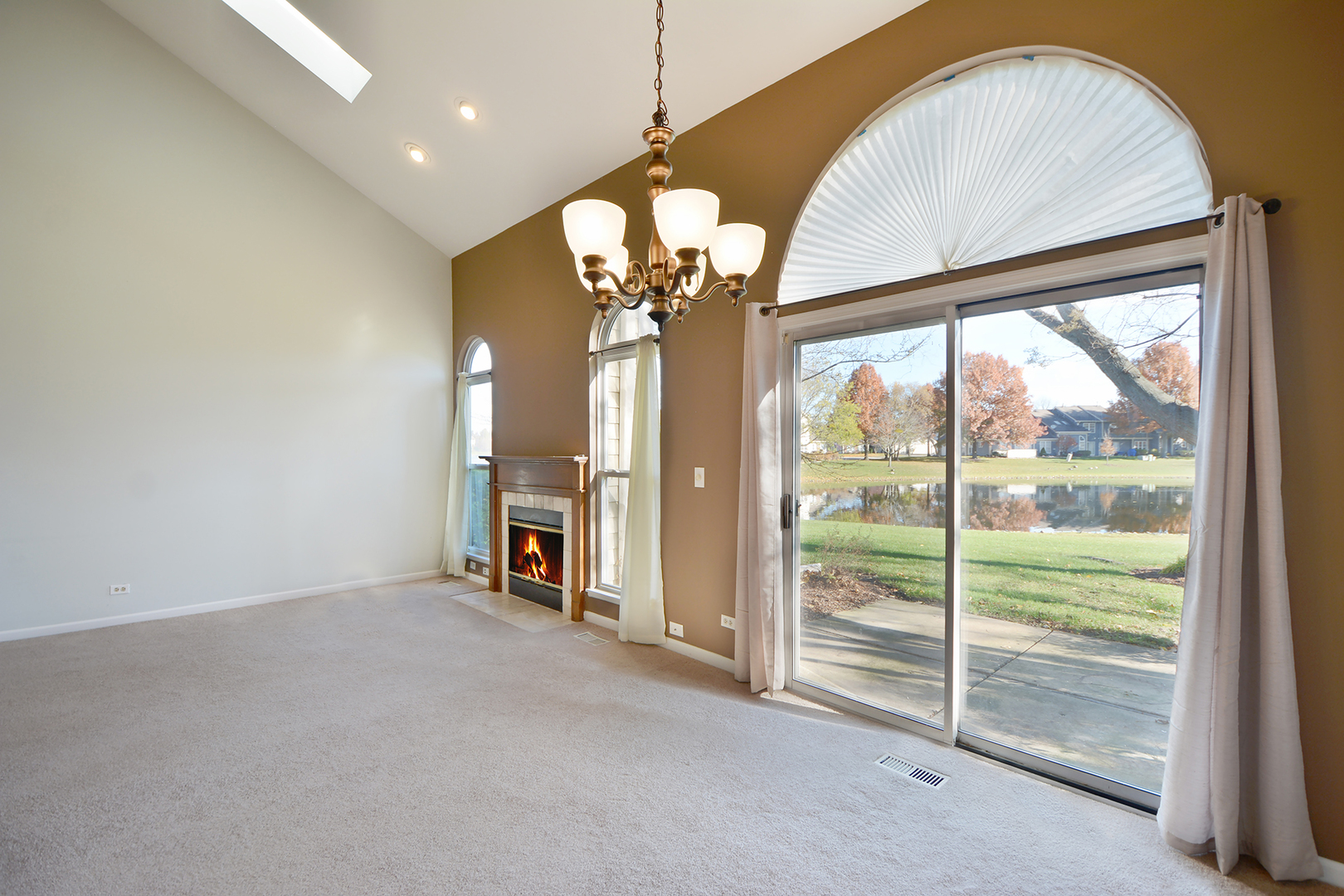725 Ripple Brook Lane Elgin, IL 60120 - Photo 9 of 29