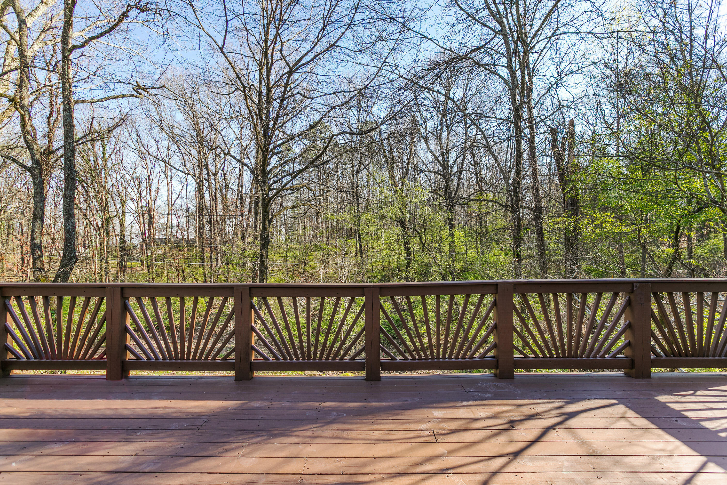 504 Barrington Road Signal Mountain, TN 37377 - Photo 18 of 39 504 Barrington Rd_Back Deck 5_by 161 Pho