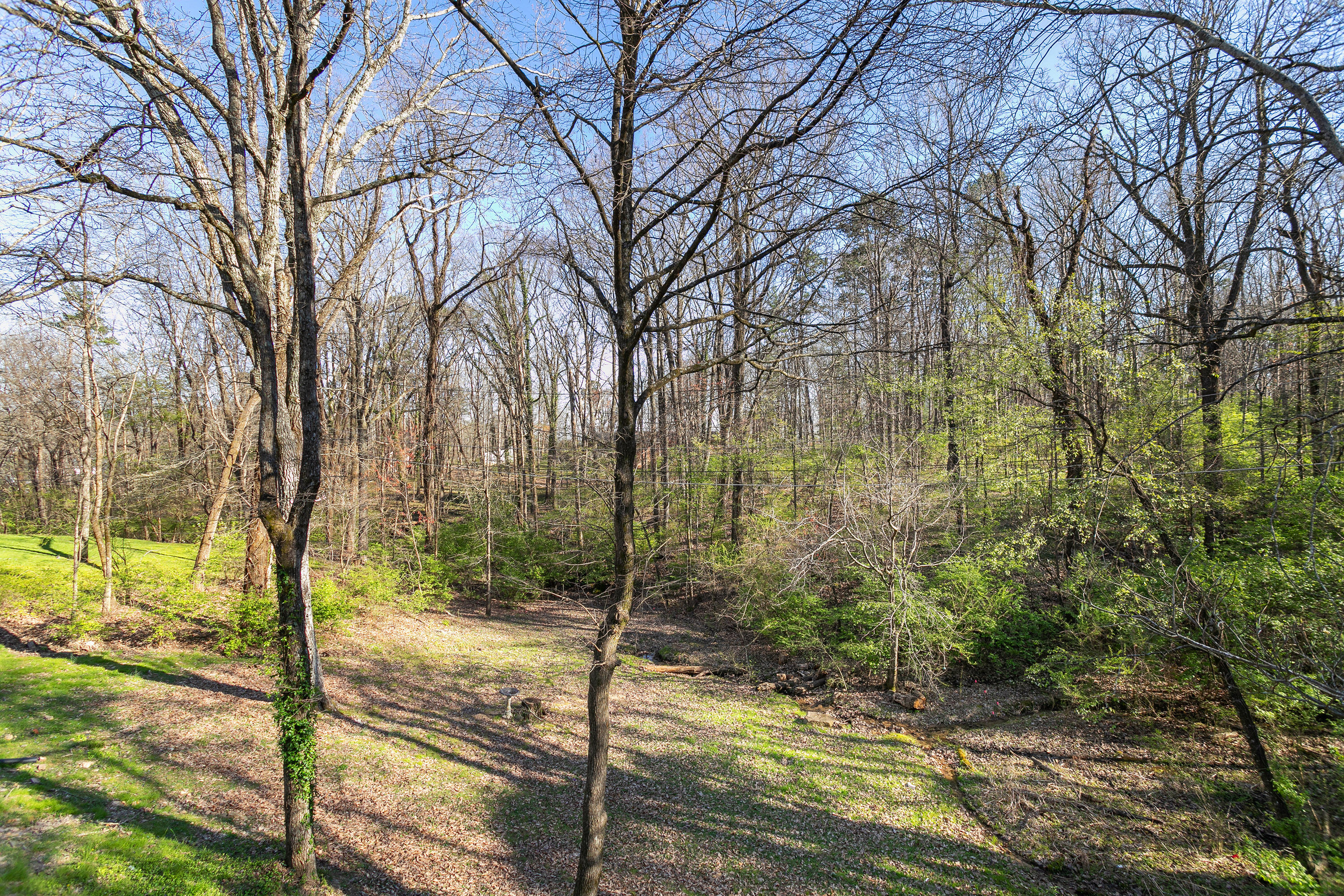 504 Barrington Road Signal Mountain, TN 37377 - Photo 36 of 39 504 Barrington Rd_Back Deck View_V