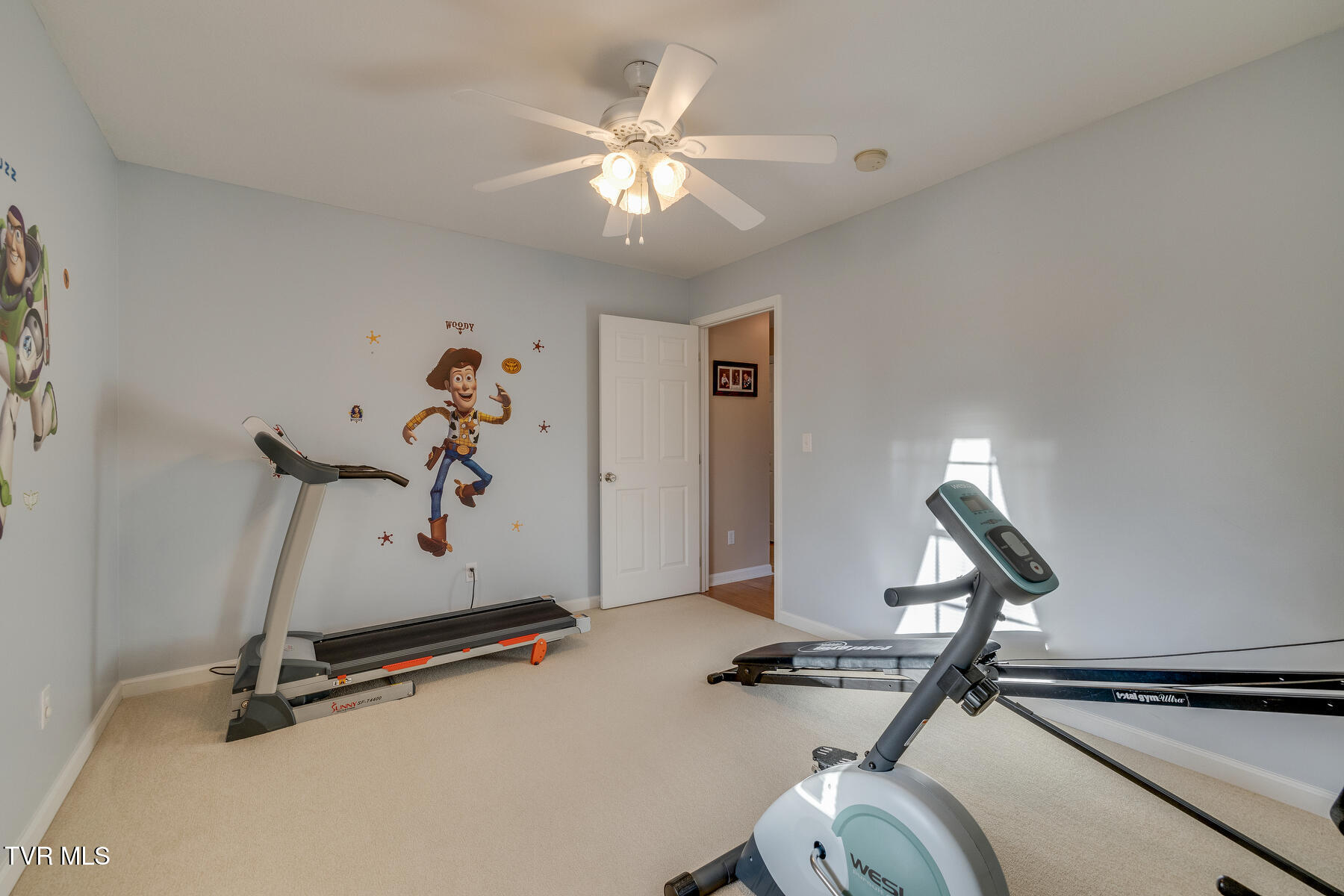 463 Pine Ridge Drive Afton, TN 37616 - Photo 23 of 43 022