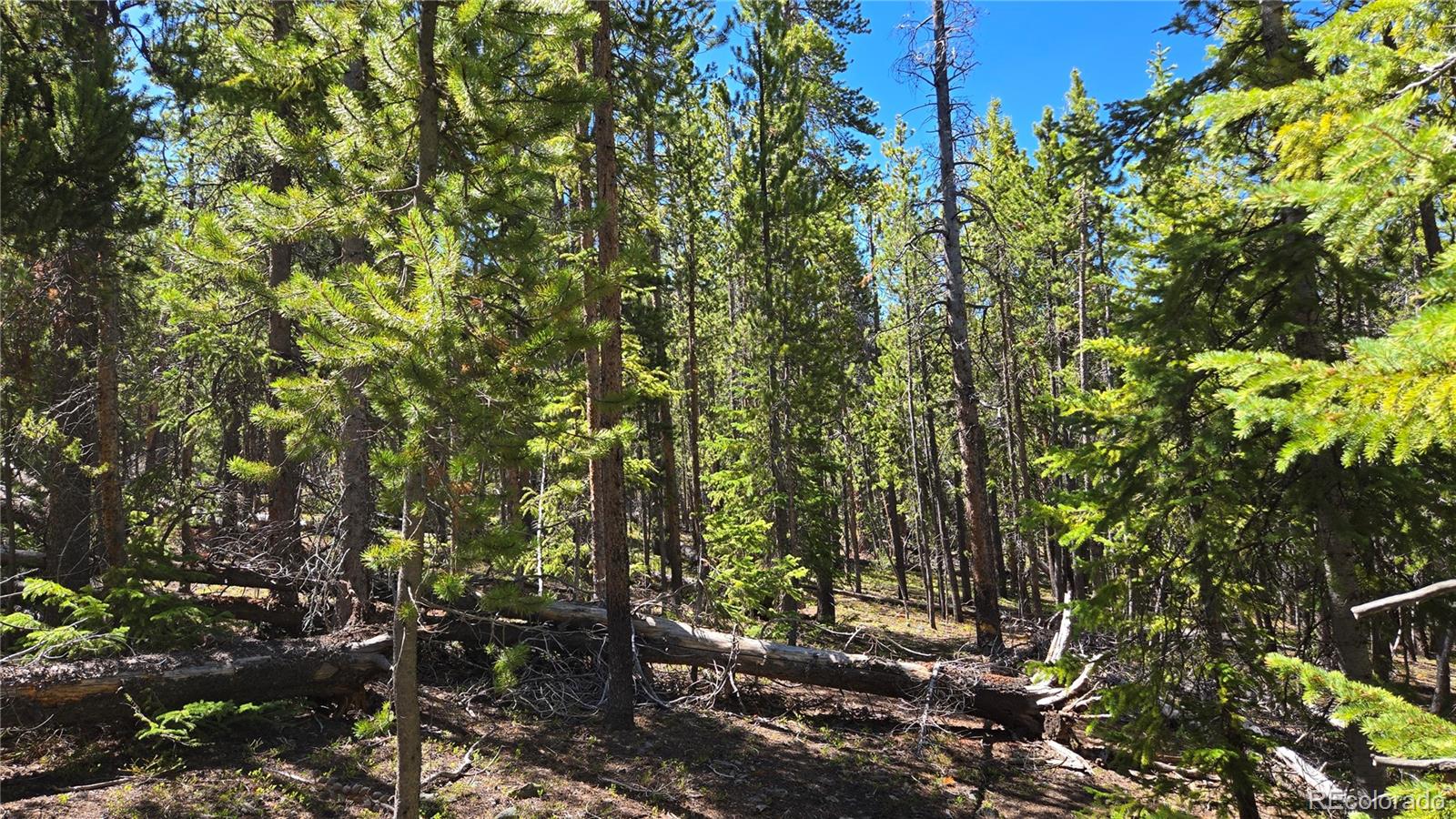 0 Summit Gulch Road Breckenridge, CO 80424 - Photo 19 of 31