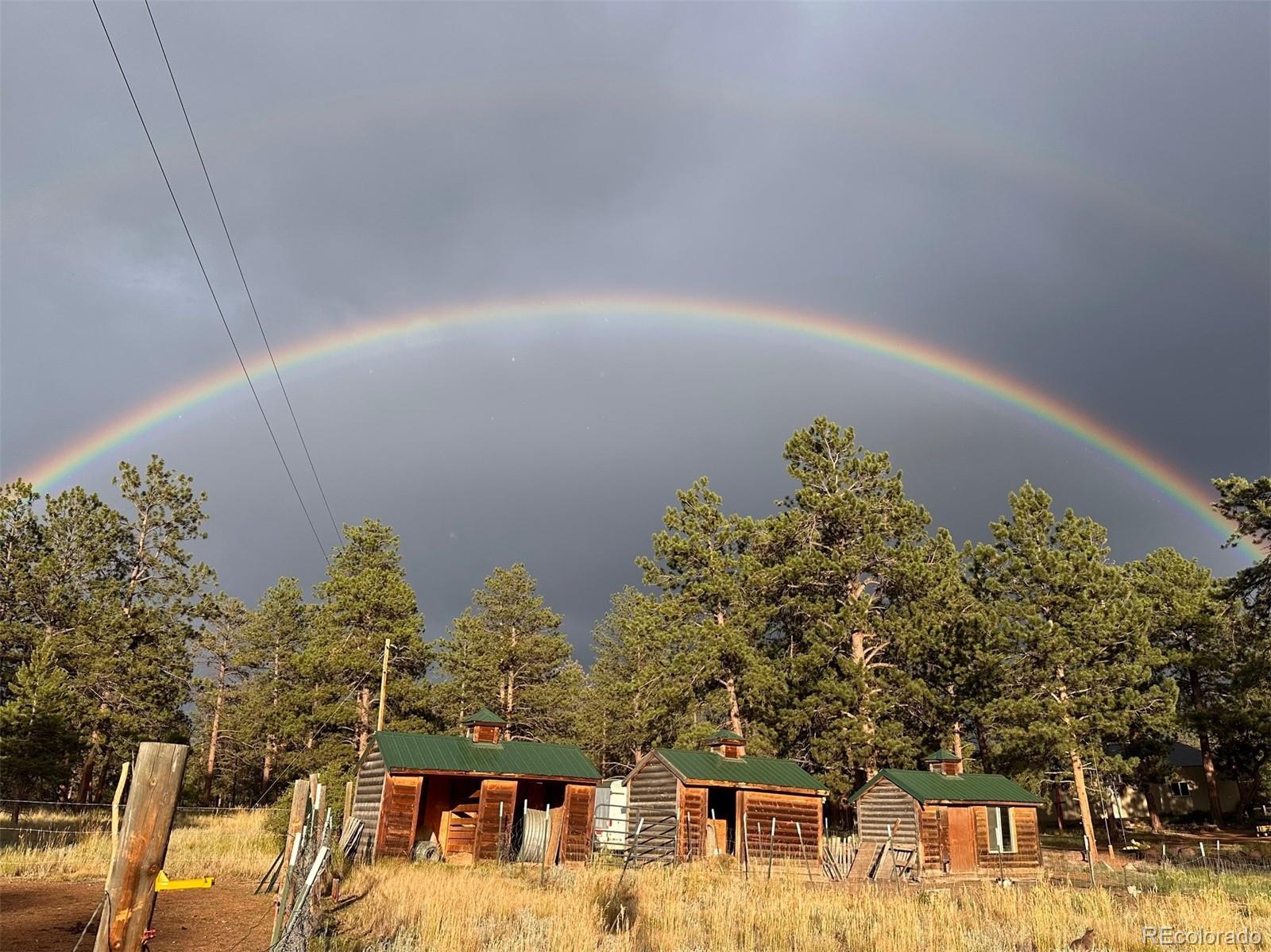 881 Trail Creek Road Lake George, CO 80827 - Photo 45 of 46