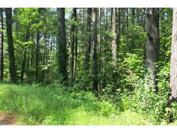 0 Bonner Road Meriden, NH 03770 - Photo 1 of 1