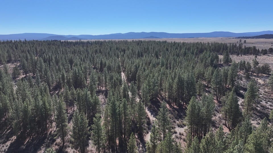 Oregon Pines Road, Unit TL 600 Chiloquin, OR 97624 - Photo 7 of 51 6