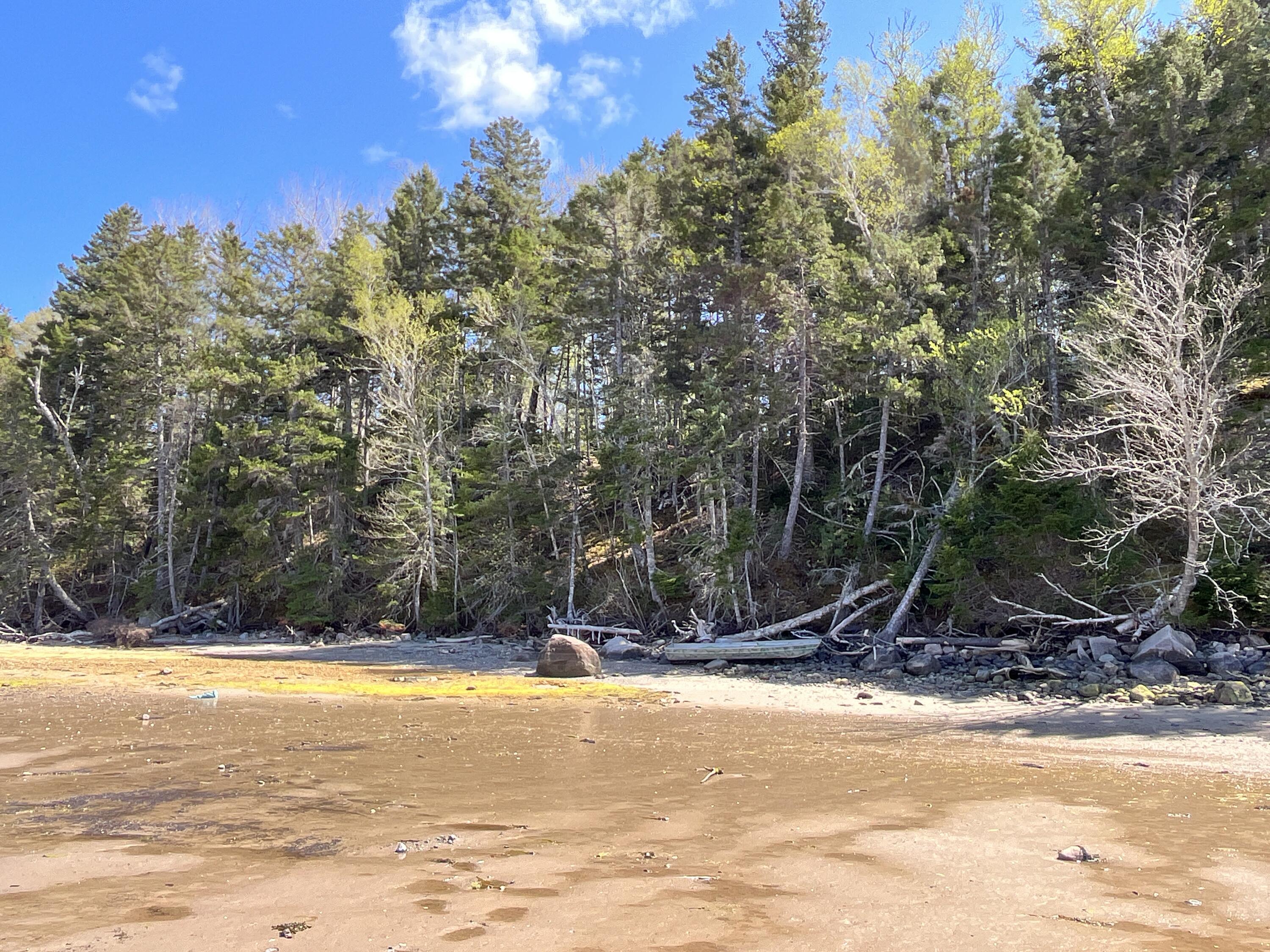 8 Blueberry Shrs Road Jonesport, ME 04649 - Photo 19 of 35 lot frontage at low tide