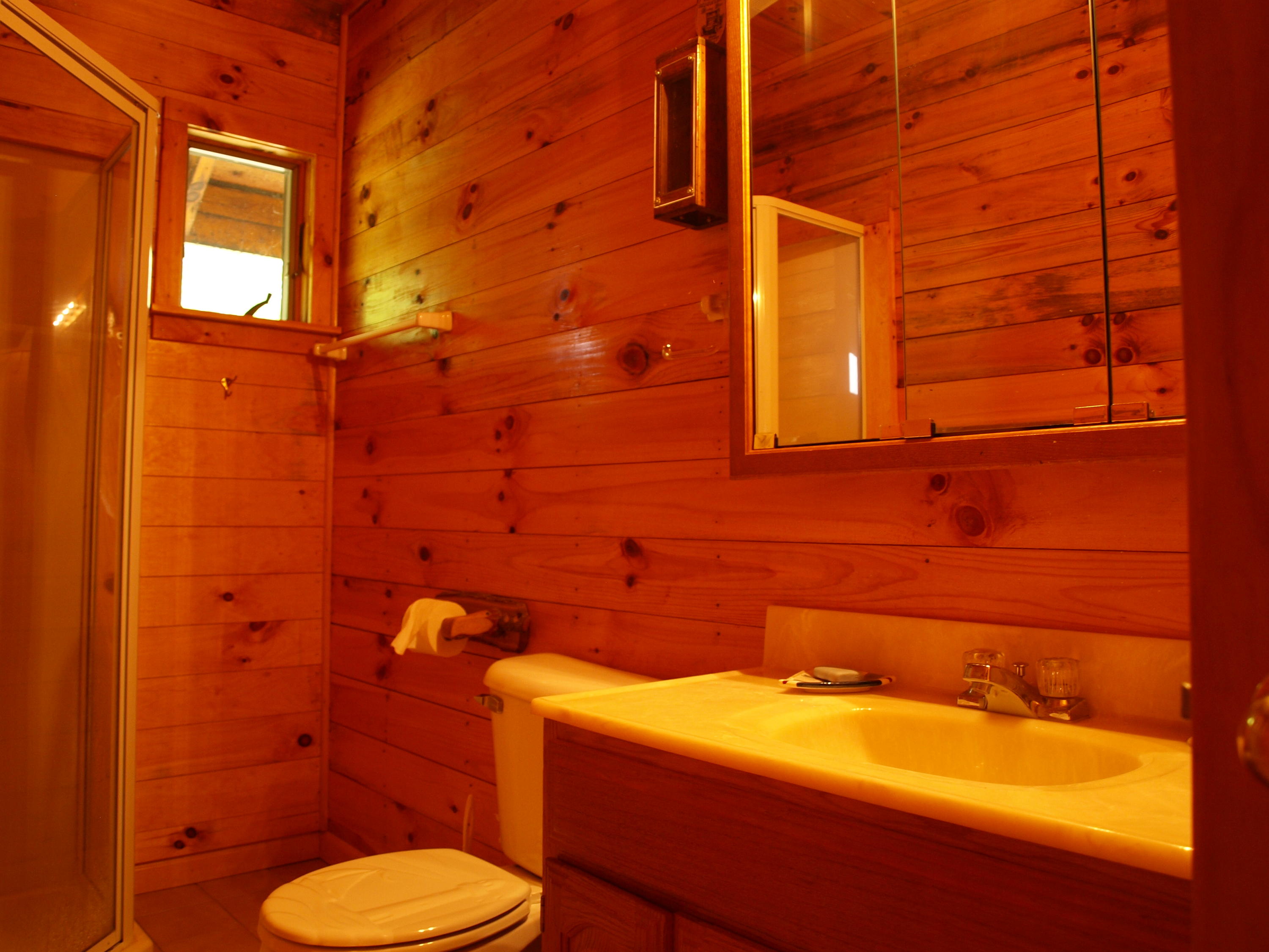 8418 North Whitefish Point Road Paradise, MI 49768 - Photo 30 of 60 Gallery Image 30