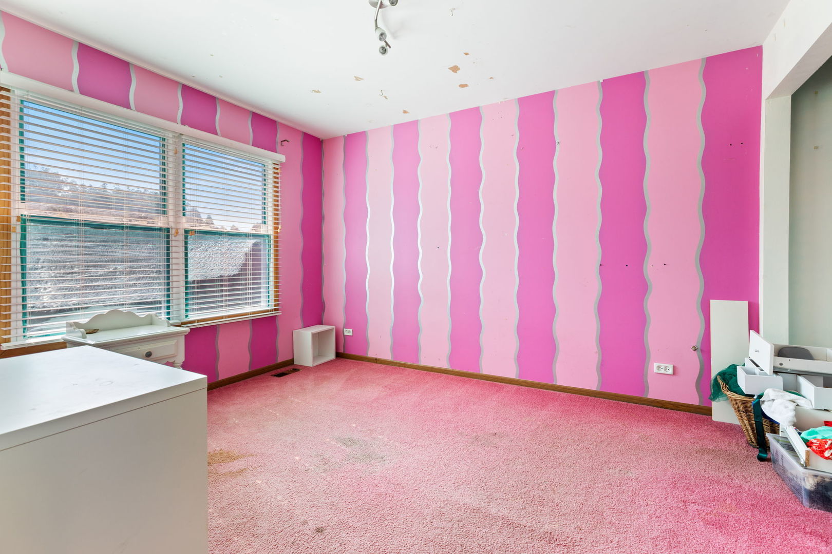 255 Ironbark Court Bolingbrook, IL 60440 - Photo 15 of 21