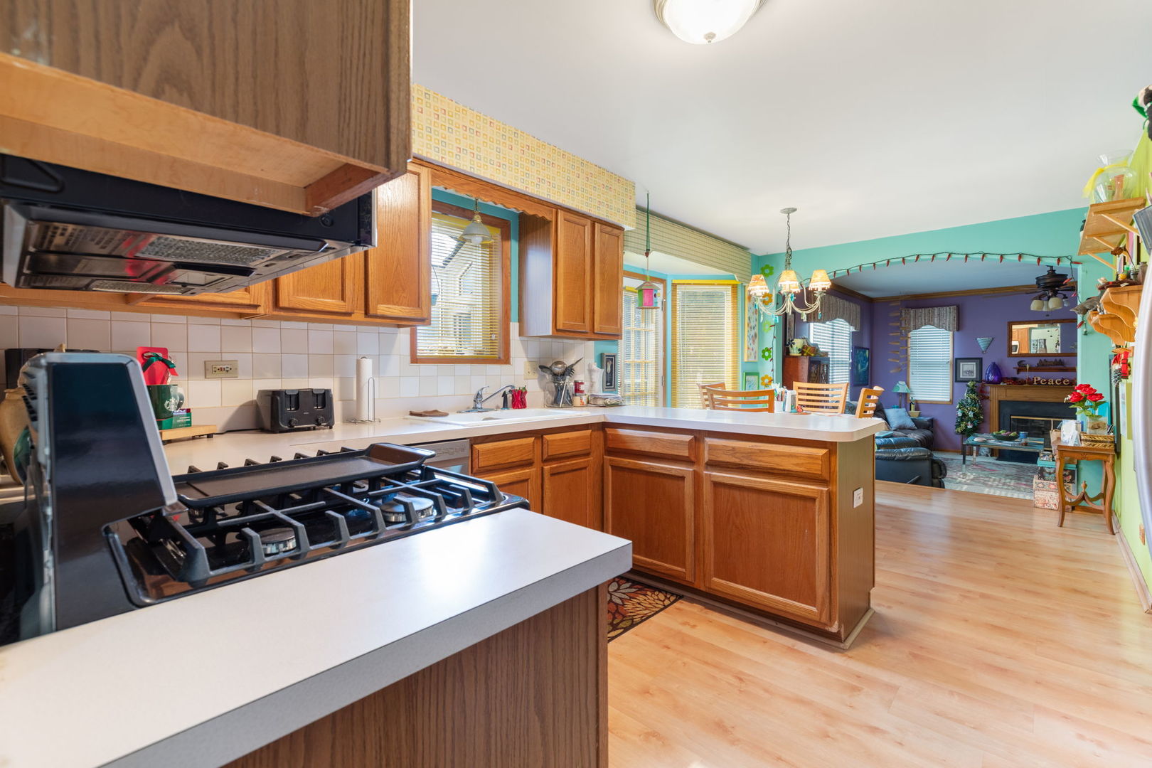 255 Ironbark Court Bolingbrook, IL 60440 - Photo 6 of 21