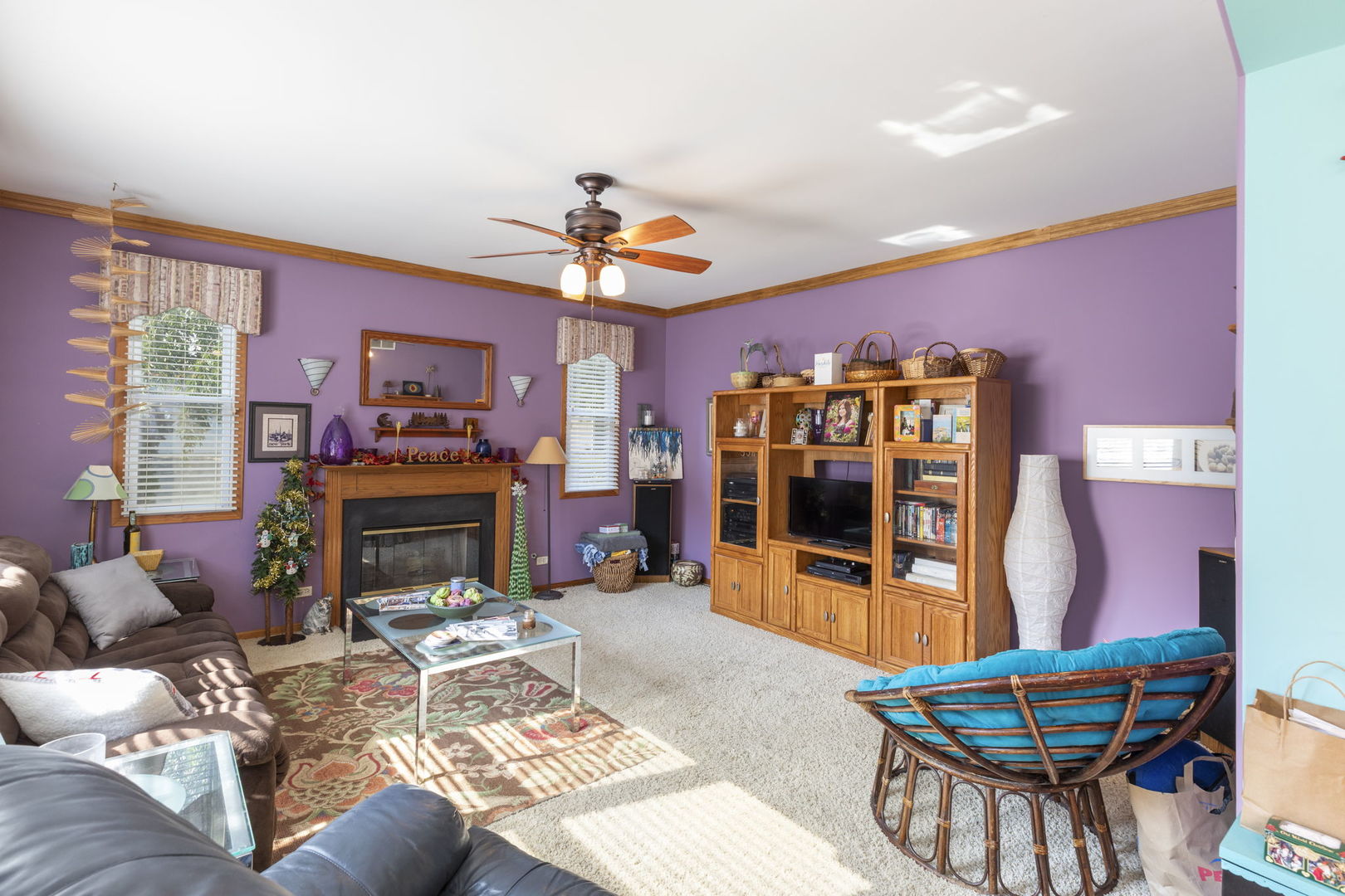 255 Ironbark Court Bolingbrook, IL 60440 - Photo 9 of 21