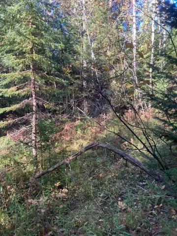 $80,000 | 9165 Afton Road, Afton, MI 49705