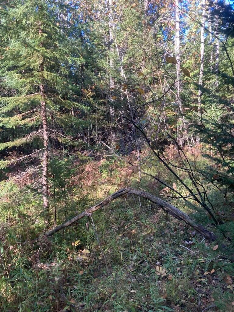 9165 Afton Road Afton, MI 49705 - Photo 2 of 4 Jensen 22