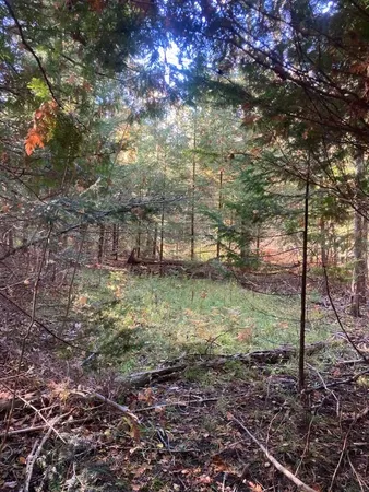 $80,000 | 9165 Afton Road, Afton, MI 49705