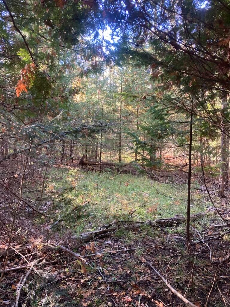 9165 Afton Road Afton, MI 49705 - Photo 3 of 4 Jensen 24