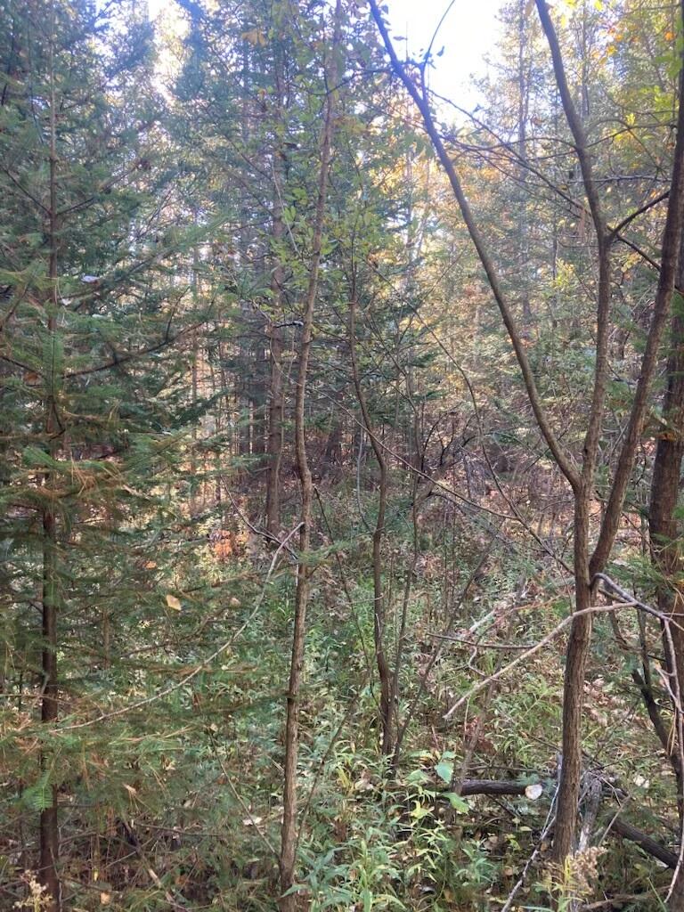 9165 Afton Road Afton, MI 49705 - Photo 4 of 4 Jensen 25