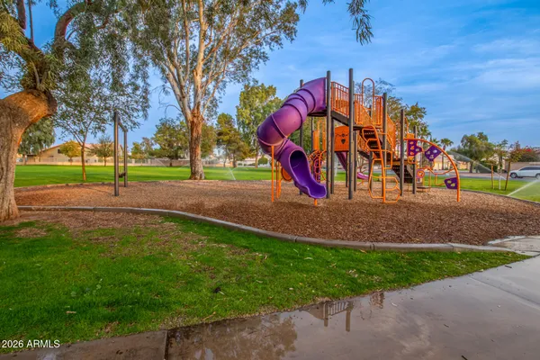 a view of a park with tree s