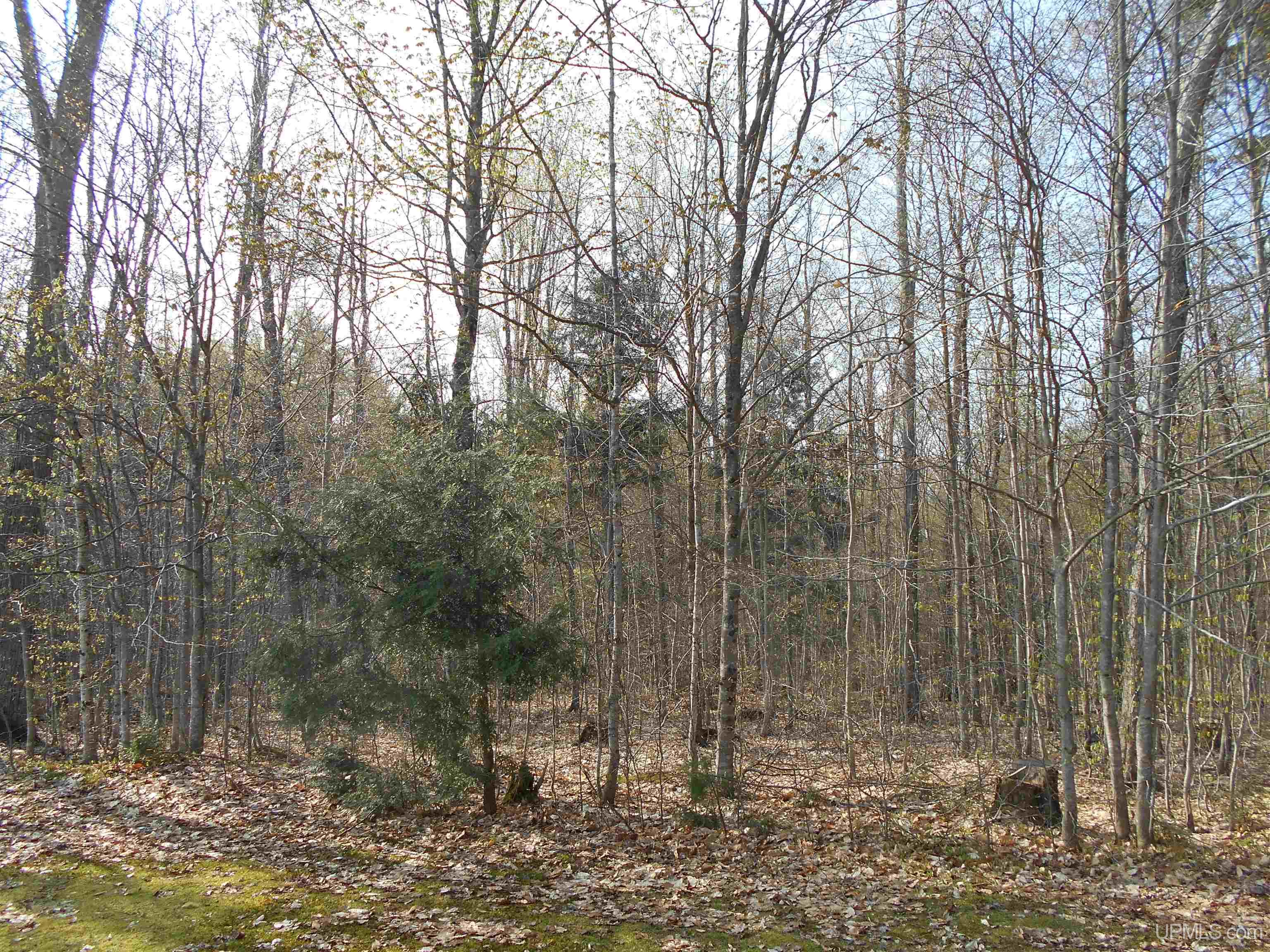 6345 South Northrough Road Wetmore, MI 49895 - Photo 47 of 67