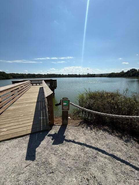 256 Blue Haw Drive Moncks Corner, SC 29461 - Photo 31 of 36 20260221174600954109000000-o