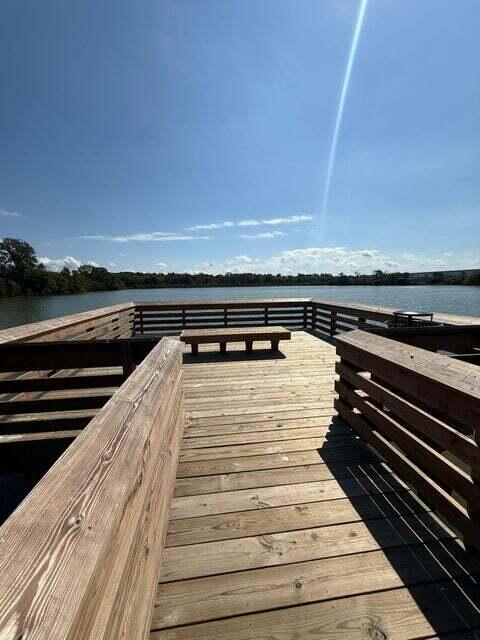 256 Blue Haw Drive Moncks Corner, SC 29461 - Photo 32 of 36 20260221174403940805000000-o