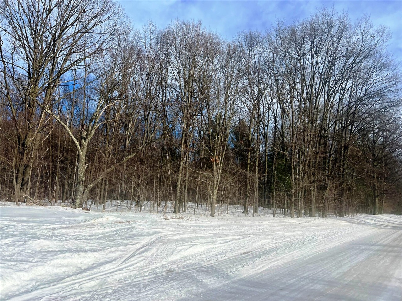 0 West Adams Road Hesperia, MI 49421 - Photo 63 of 74