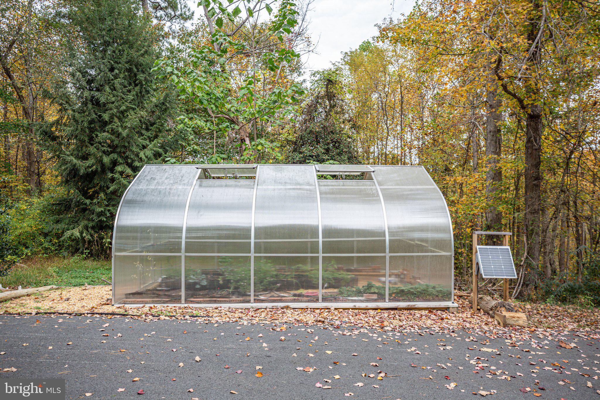 15211 Poplar Neck Road King George, VA 22485 - Photo 13 of 54 Green House