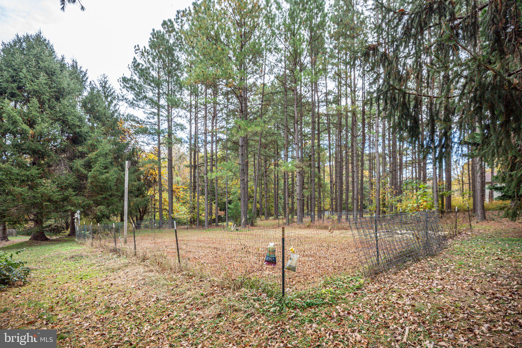 15211 Poplar Neck Road King George, VA 22485 - Photo 44 of 54 Fenced garden