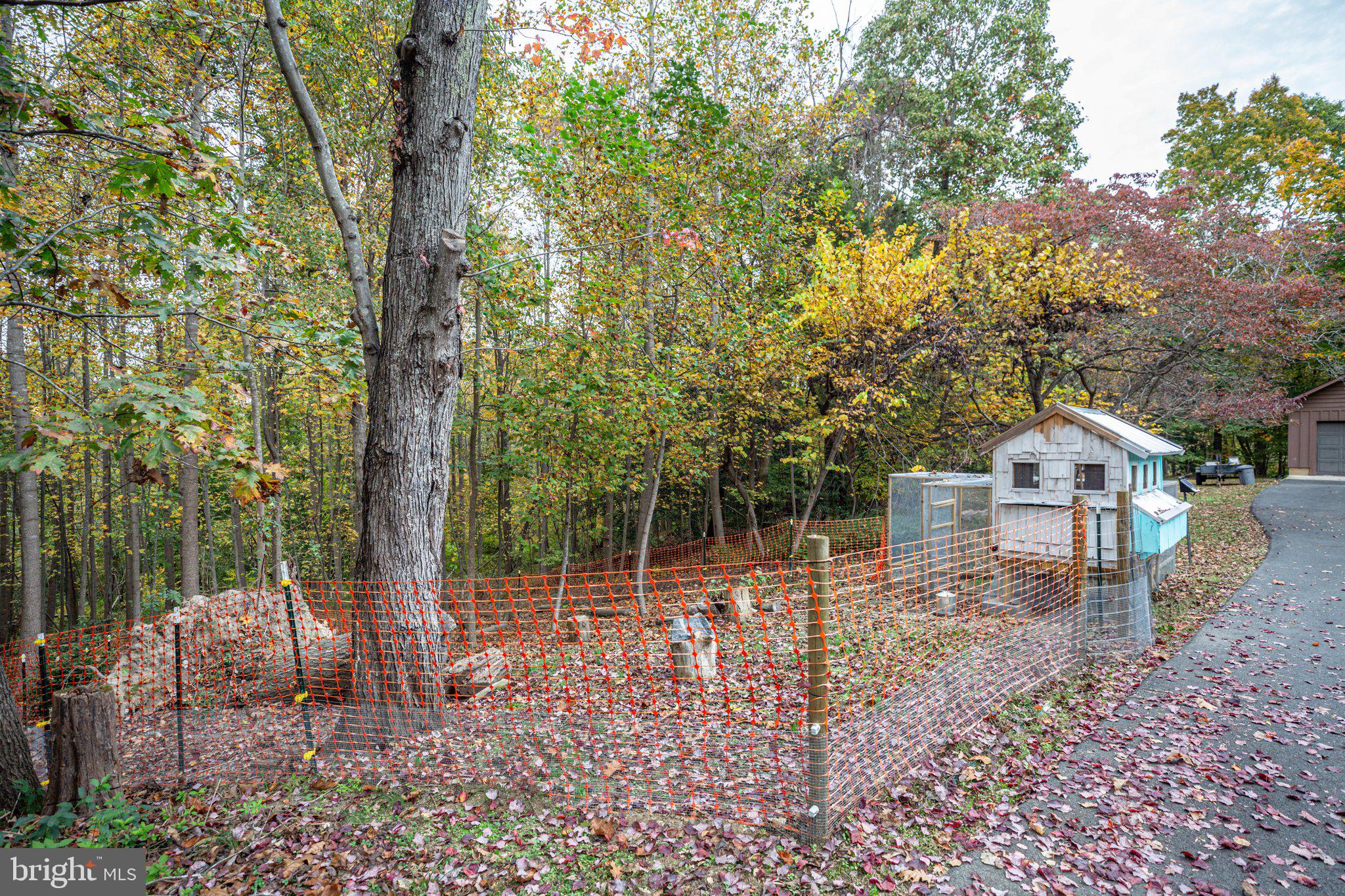 15211 Poplar Neck Road King George, VA 22485 - Photo 46 of 54 Chicken Coop