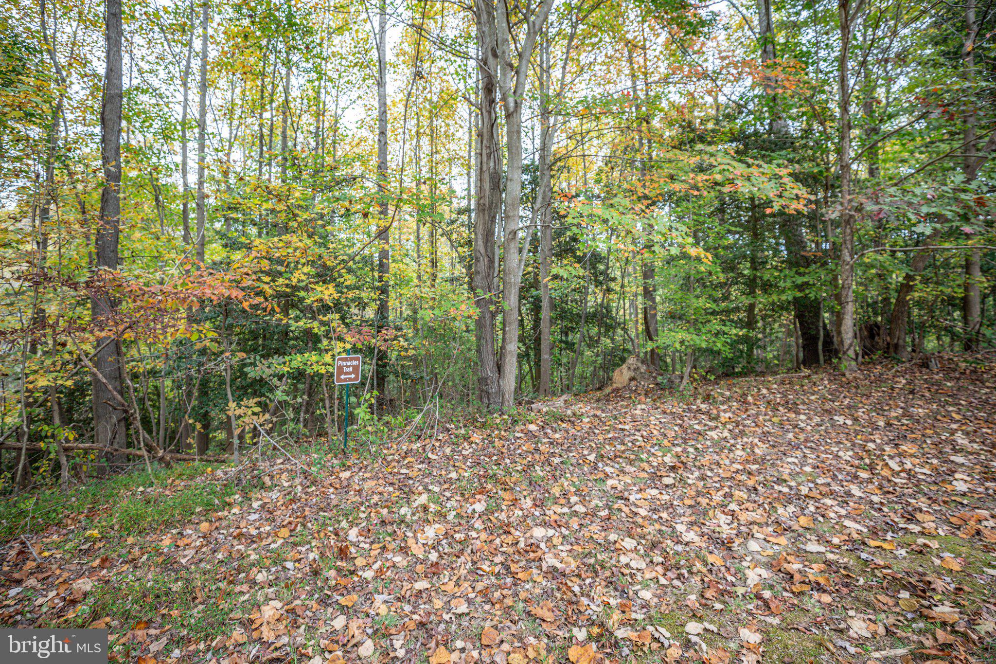 15211 Poplar Neck Road King George, VA 22485 - Photo 48 of 54 Exterior