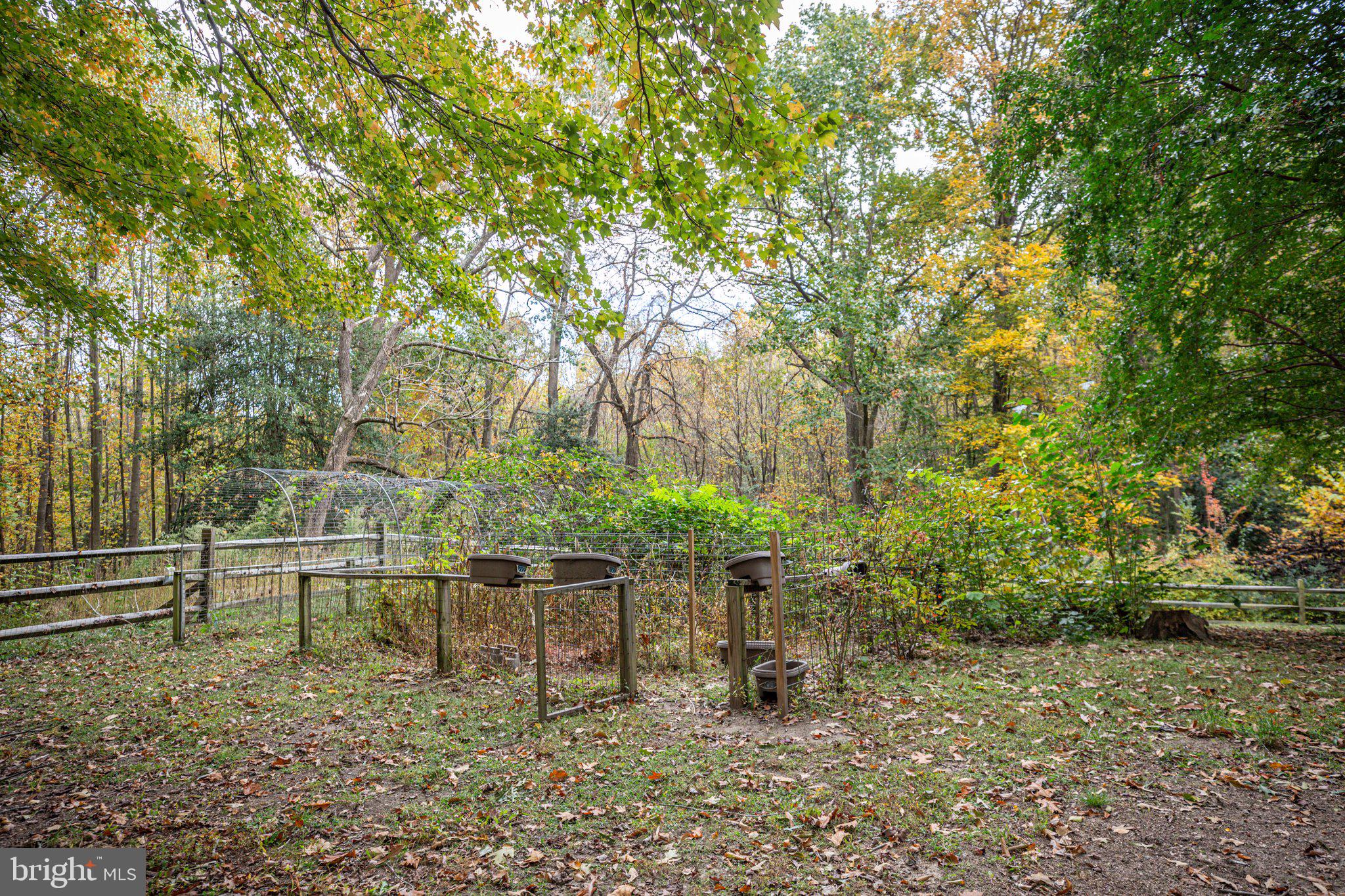 15211 Poplar Neck Road King George, VA 22485 - Photo 52 of 54 Exterior