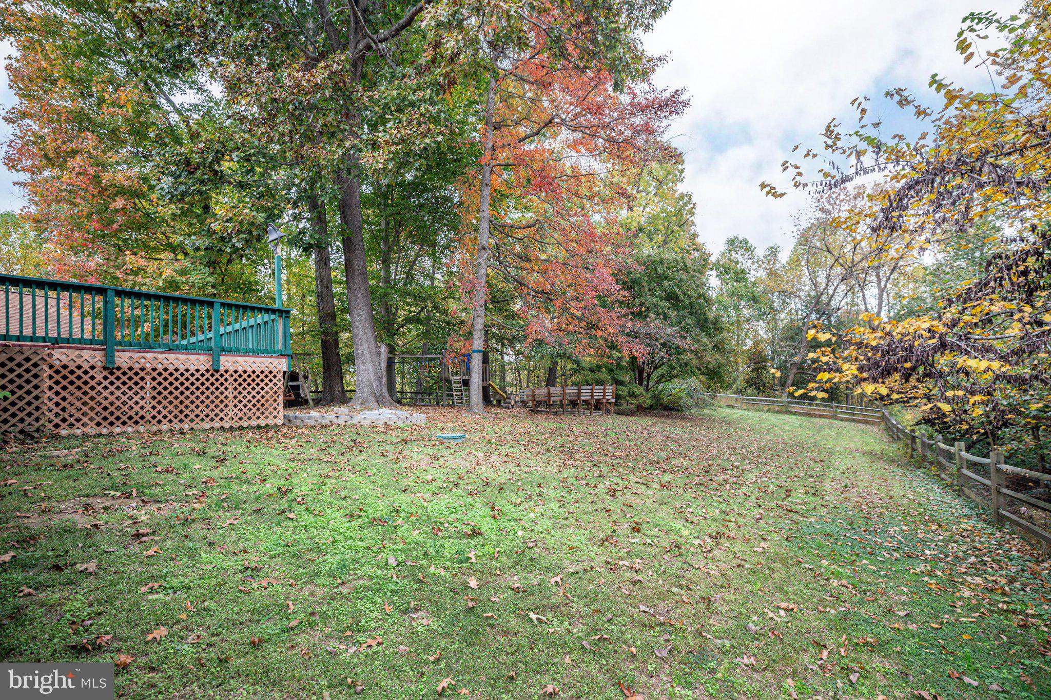 15211 Poplar Neck Road King George, VA 22485 - Photo 7 of 54 Backyard
