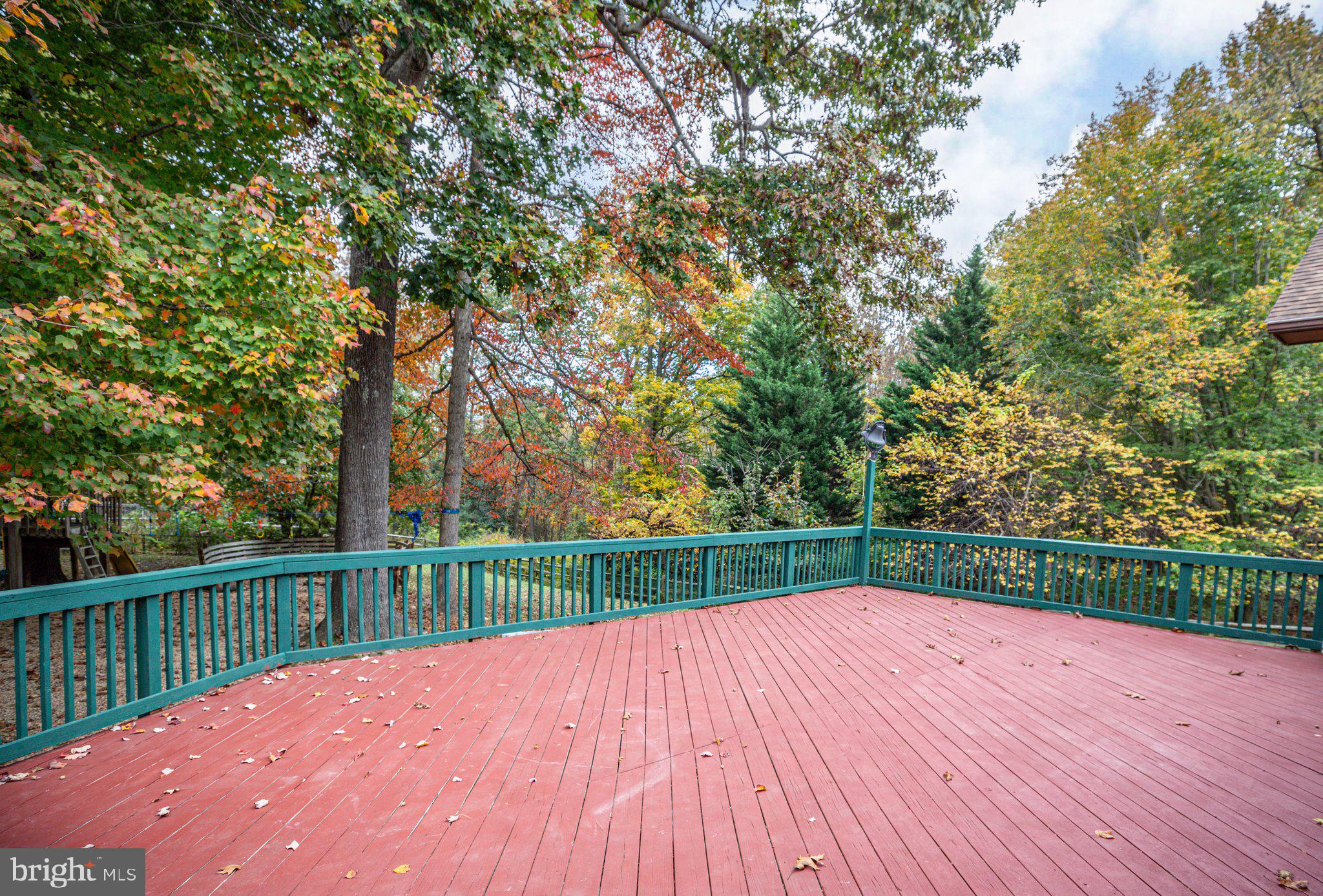 15211 Poplar Neck Road King George, VA 22485 - Photo 8 of 54 HUGE Rear Deck!