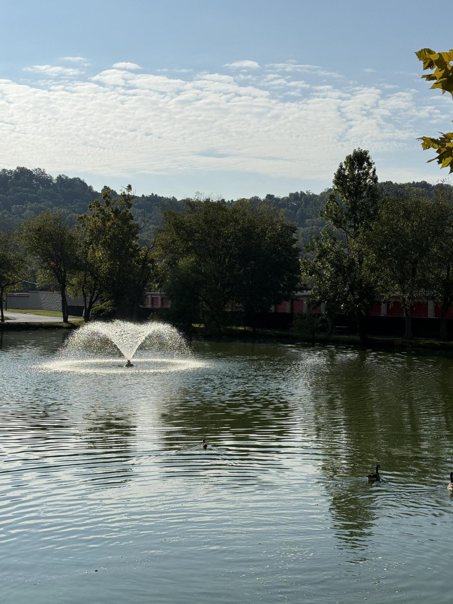 900 Mountain Creek Road, Unit C50 Chattanooga, TN 37405 - Photo 9 of 20 IMG_4763