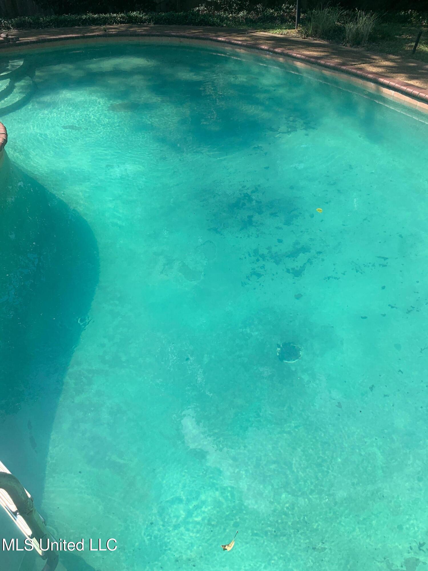 11 South Crownpointe Drive Jackson, MS 39211 - Photo 67 of 68 Pool 2