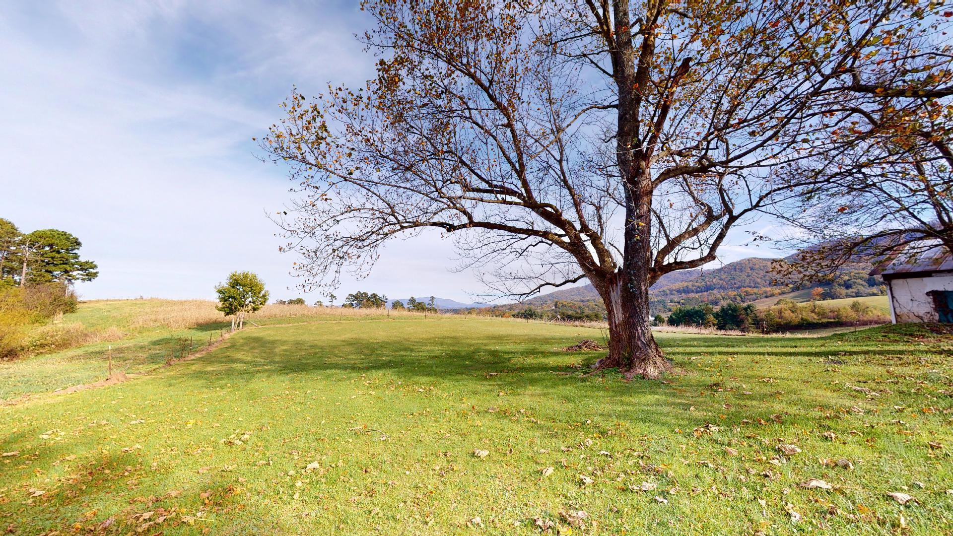 655 Perry Davis Road Greeneville, TN 37743 - Photo 5 of 17 655-Perry-Davis-Rd-11062020_092633