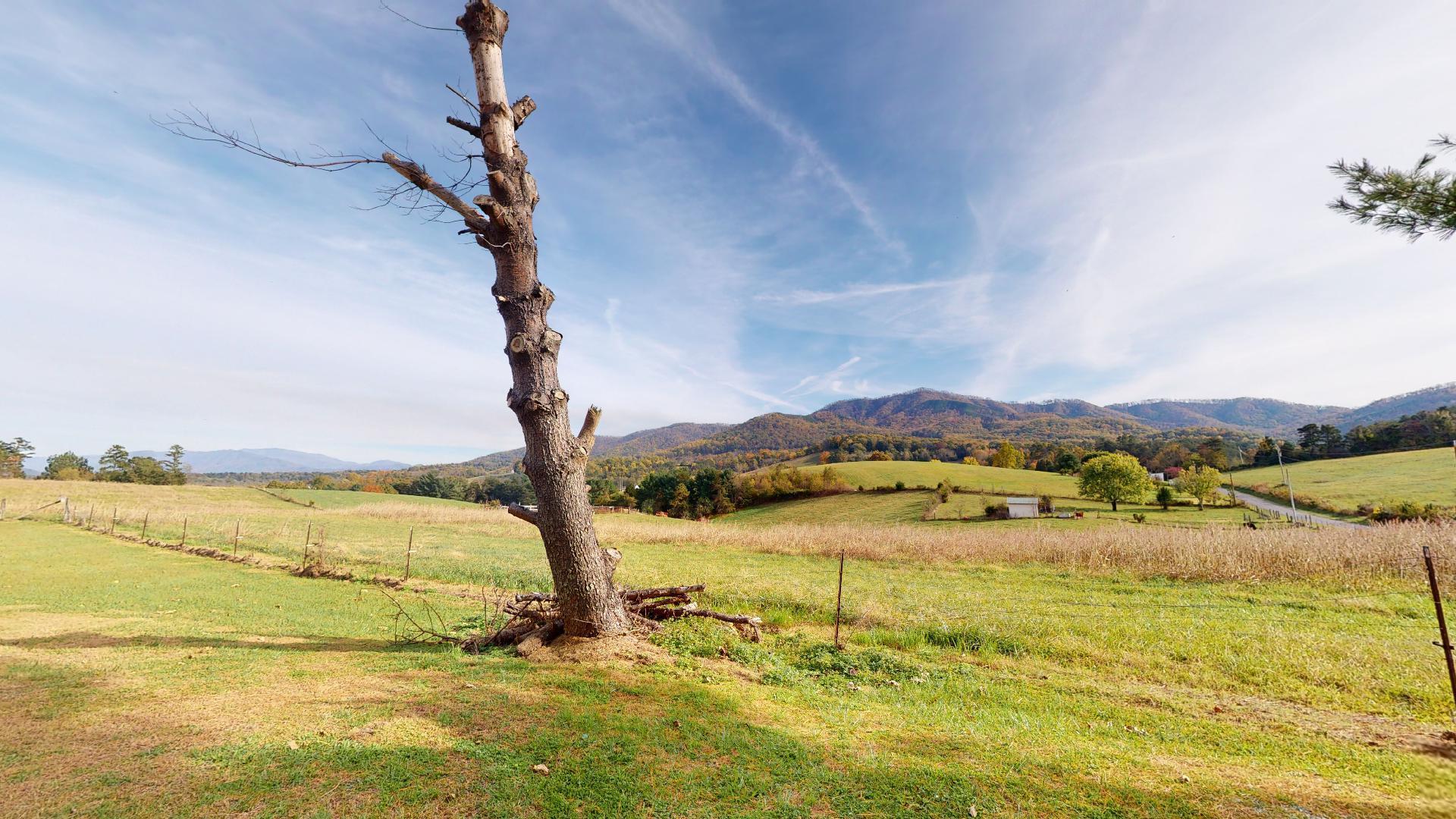 655 Perry Davis Road Greeneville, TN 37743 - Photo 7 of 17 655-Perry-Davis-Rd-11062020_093803