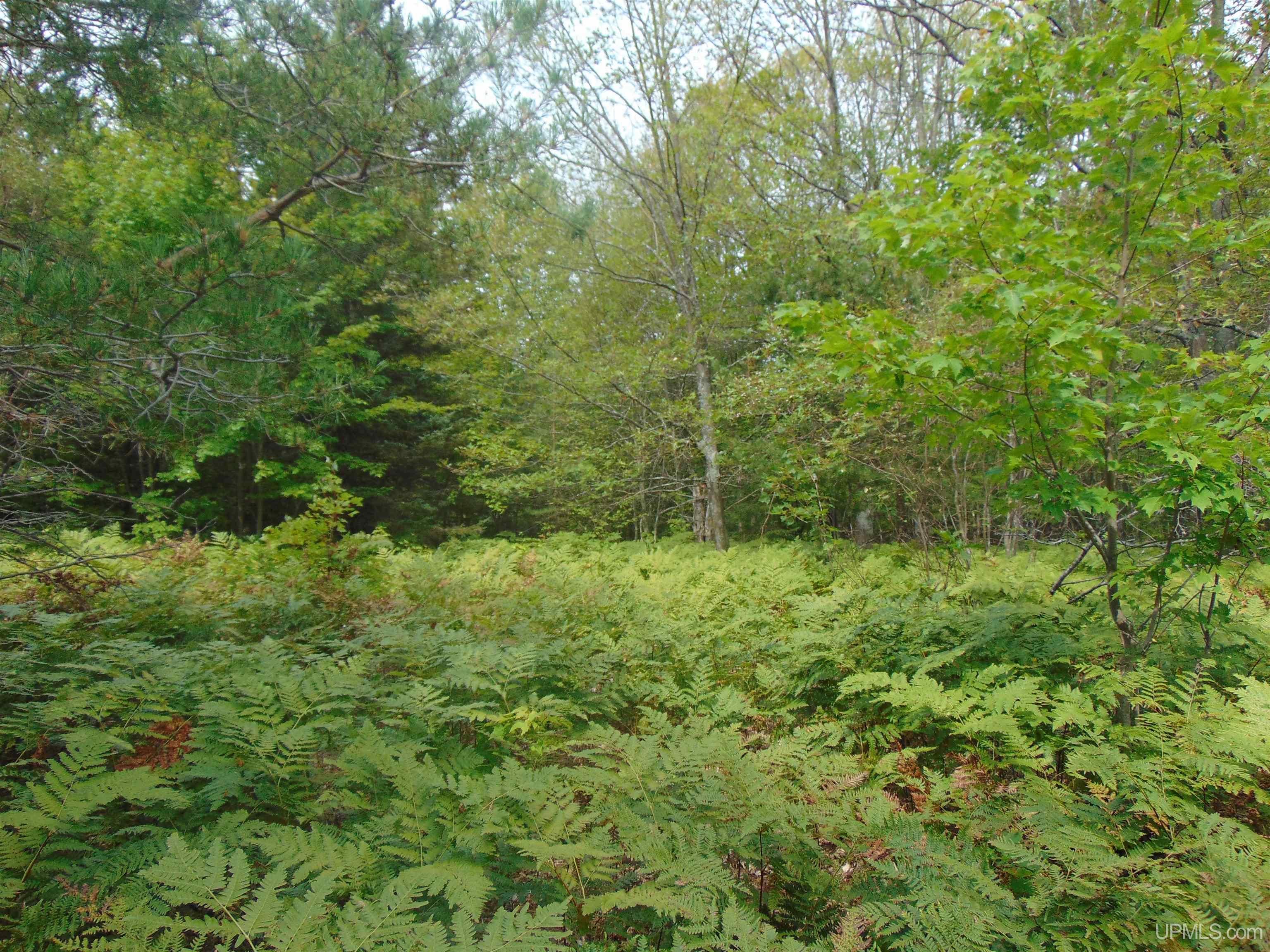 15 Coles Creek Road Atlantic Mine, MI 49905 - Photo 11 of 31