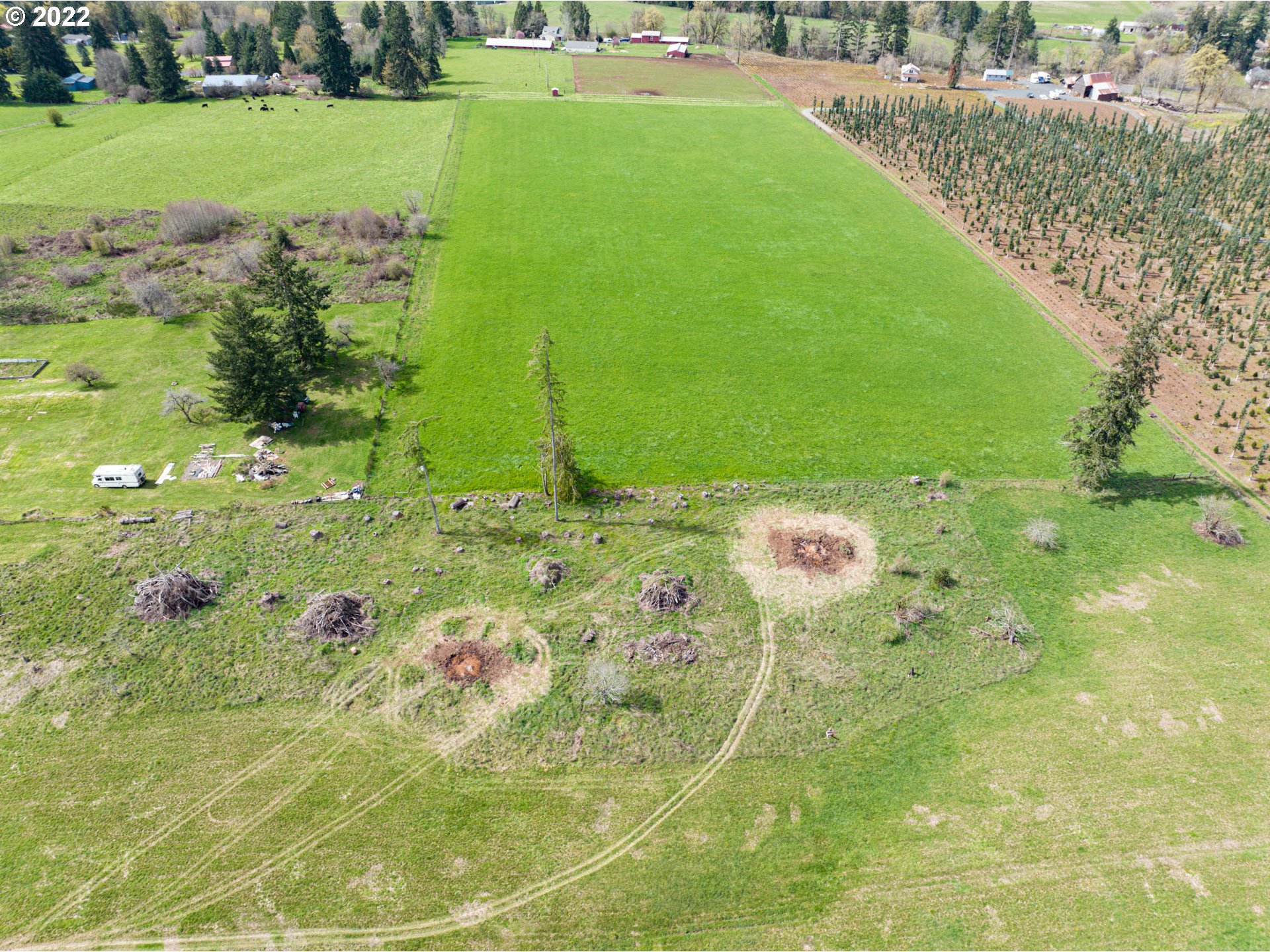 Ferrier Road Winlock, WA 98596 - Photo 15 of 24 a view of a big yard with plants and large trees