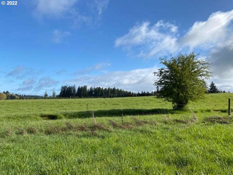 Ferrier Road Winlock, WA 98596 - Photo 19 of 24 a view of field with grass and trees