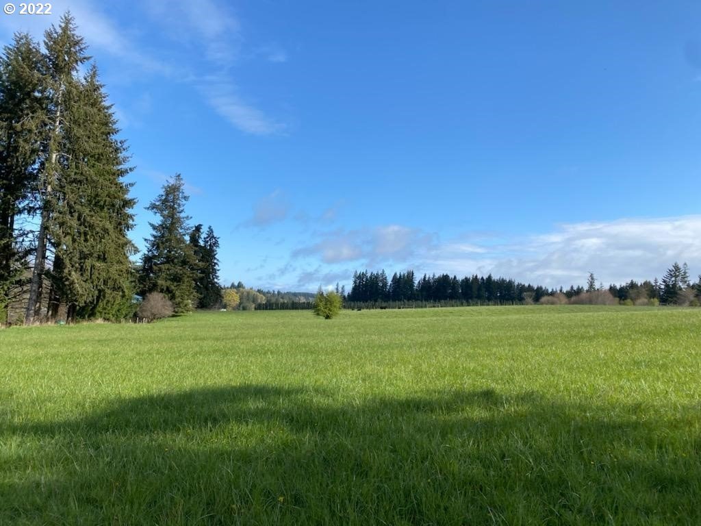 Ferrier Road Winlock, WA 98596 - Photo 20 of 24 a view of a grassy field with trees and a field