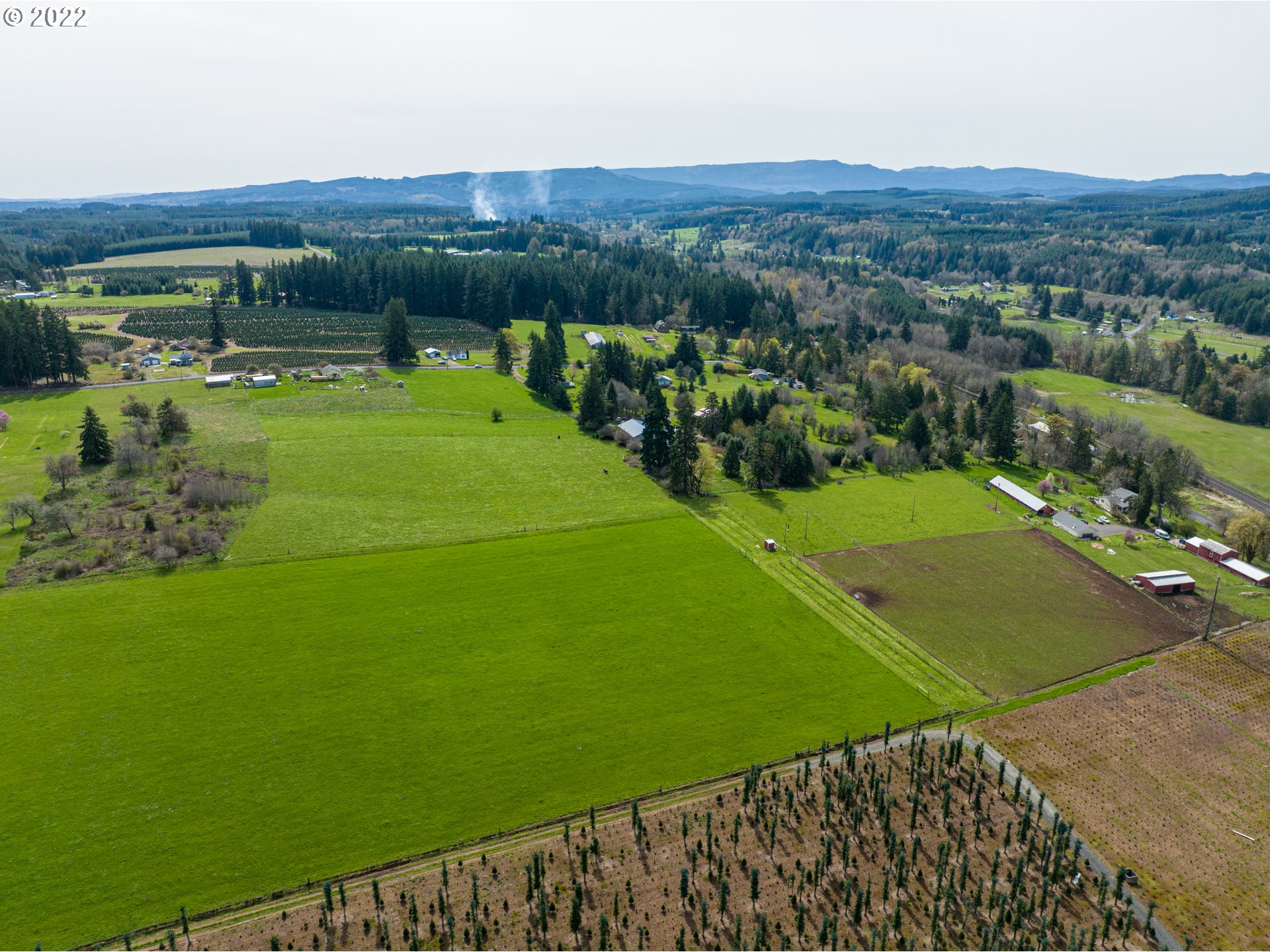 Ferrier Road Winlock, WA 98596 - Photo 2 of 24 a view of a lush green space