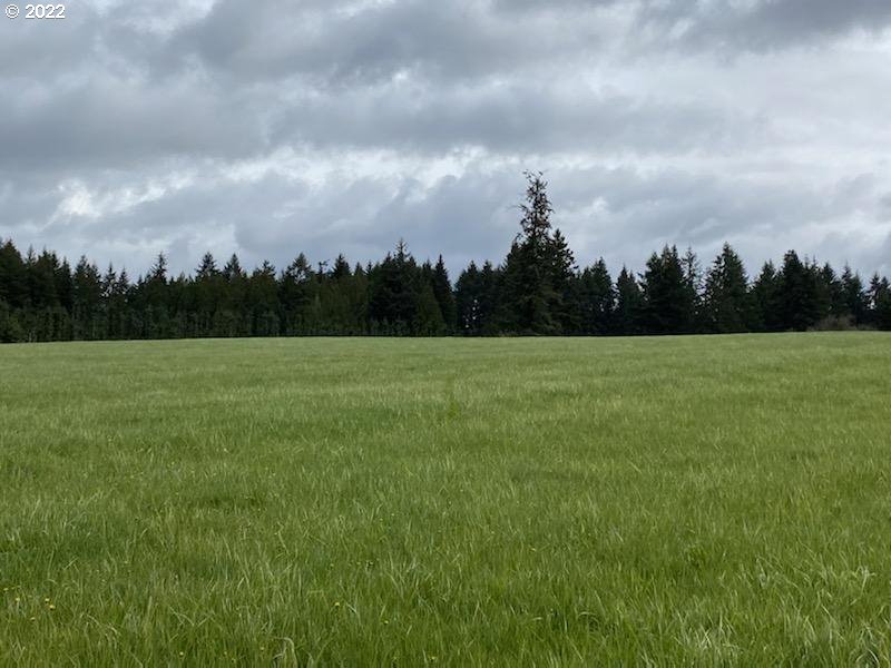 Ferrier Road Winlock, WA 98596 - Photo 22 of 24 a view of a field with trees in the background