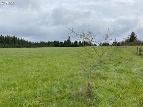 Ferrier Road Winlock, WA 98596 - Photo 23 of 24 a view of a field with clear sky