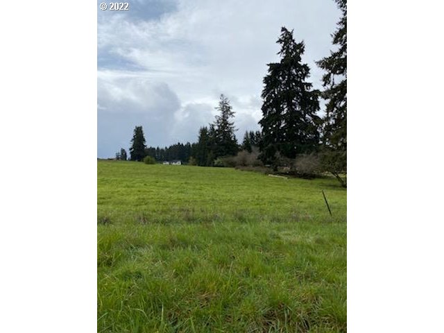 Ferrier Road Winlock, WA 98596 - Photo 24 of 24 a view of a garden